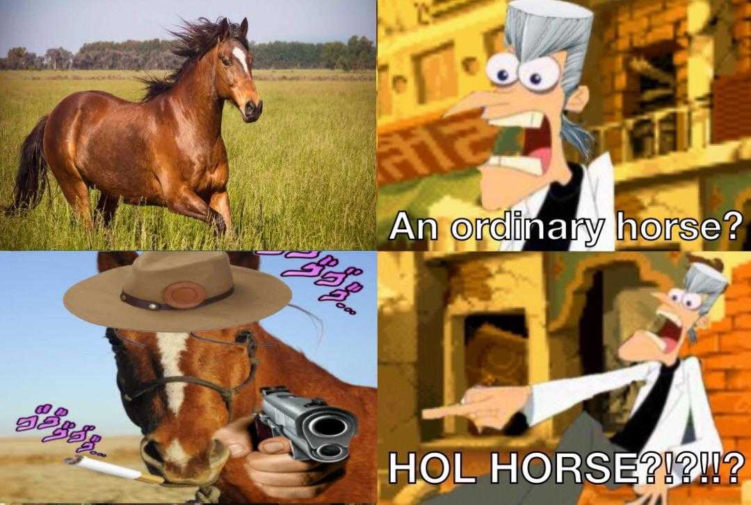 arafian horse with a gun and a cowboy hat with a caption of an ordinary horse