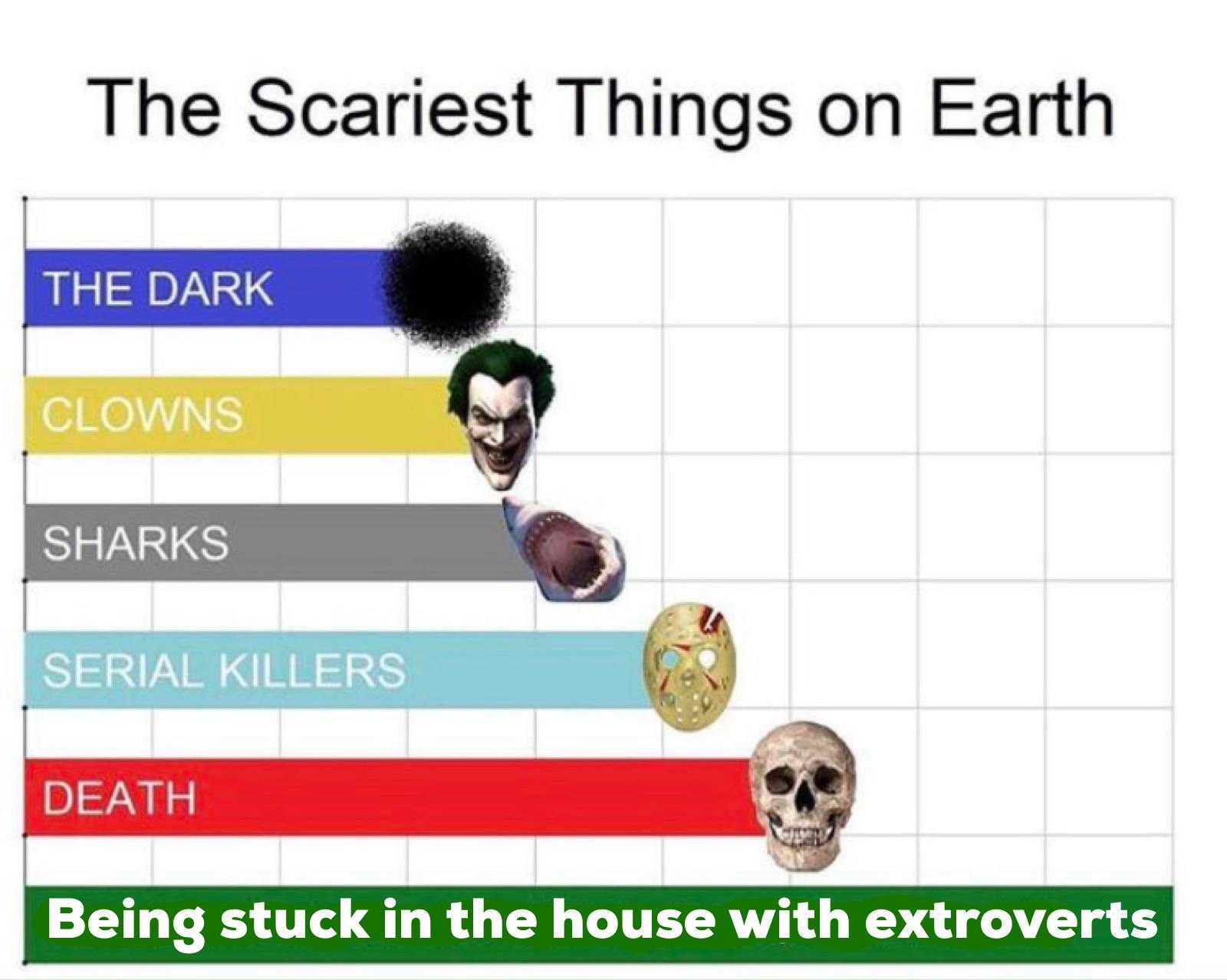 a chart with a bunch of different types of skulls and skulls