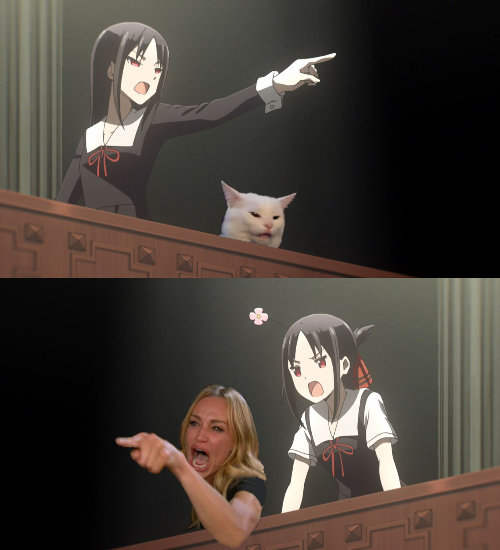 there are two pictures of a woman pointing at a cat