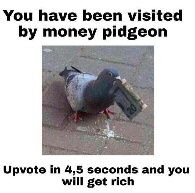 there is a pigeon that is standing on the ground with a piece of paper in its mouth