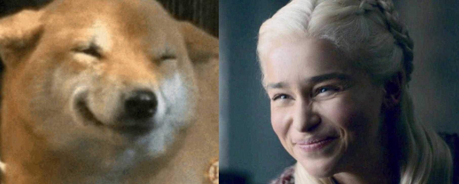 a close up of a dog and a woman with white hair