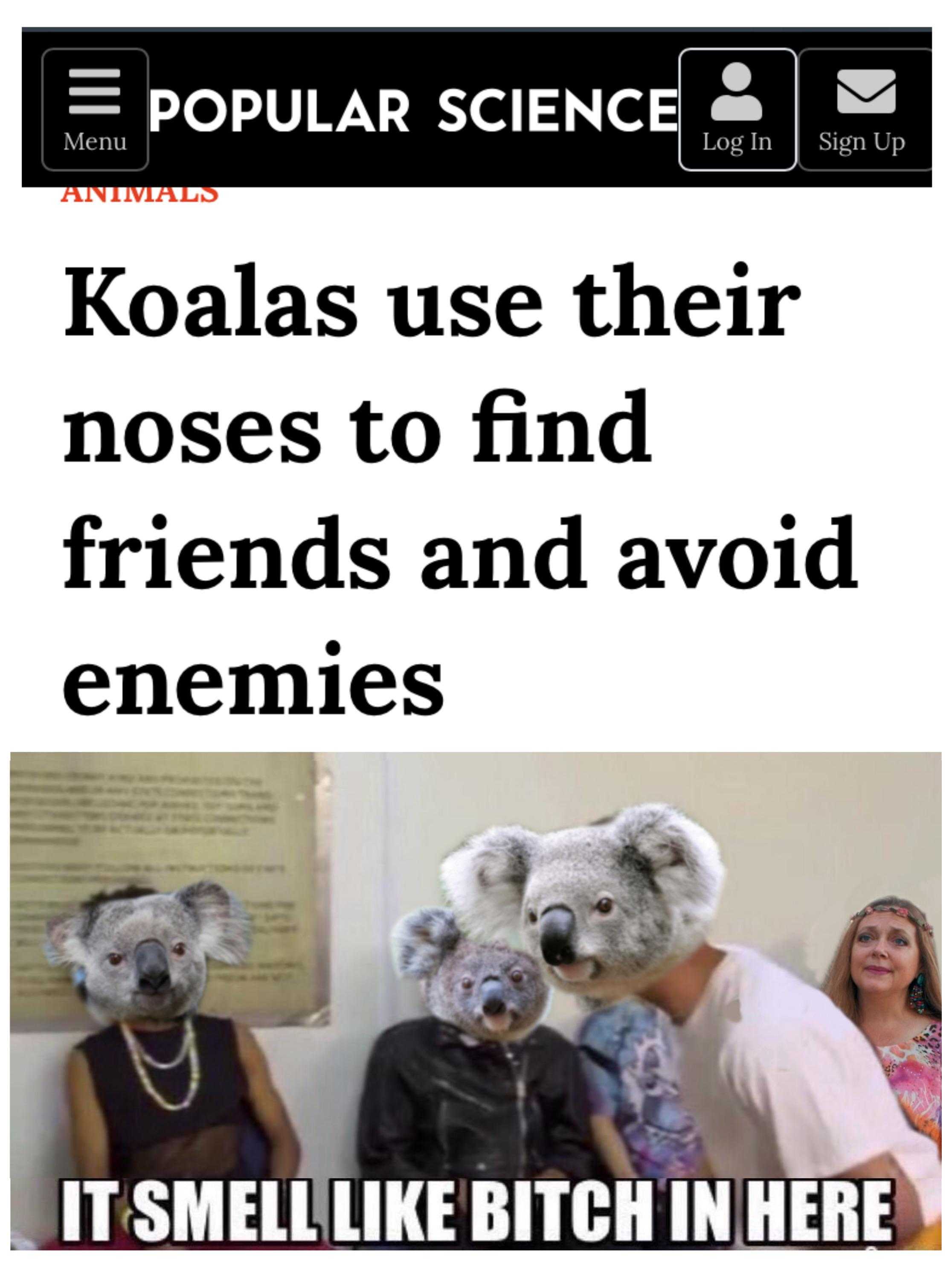 there are two people in koalas with a koala mask on