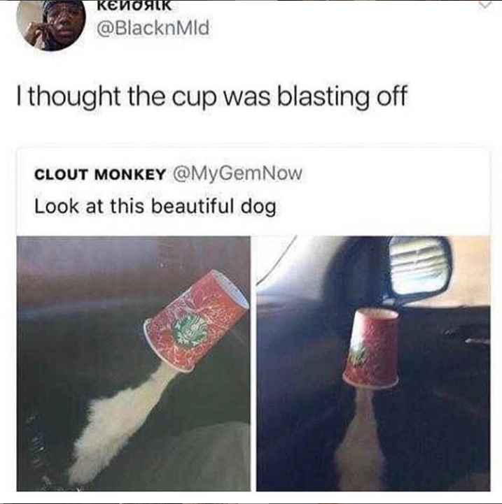 a close up of a cup of coffee being blown off by a dog