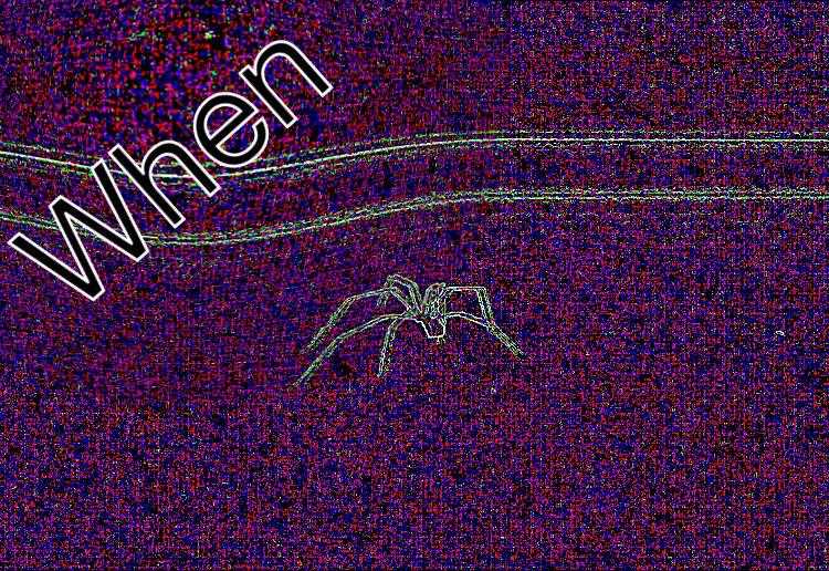 a close up of a spider on a purple background with the word when