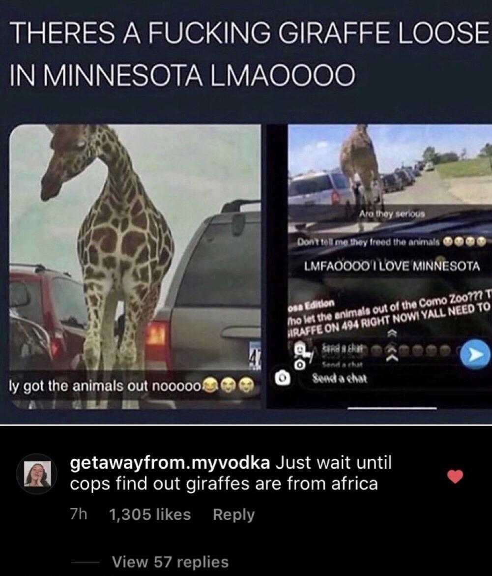 there is a picture of a giraffe that is standing in the street