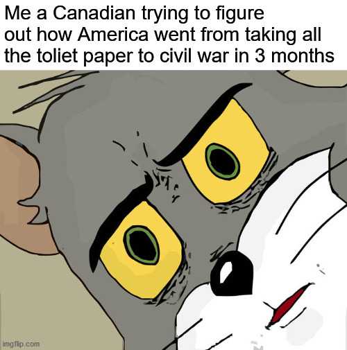 cartoon me a canadian trying to figure out how america went from taking the toilet paper to civil war in 3 months