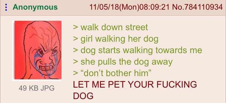 there is a picture of a dog that is walking on the street