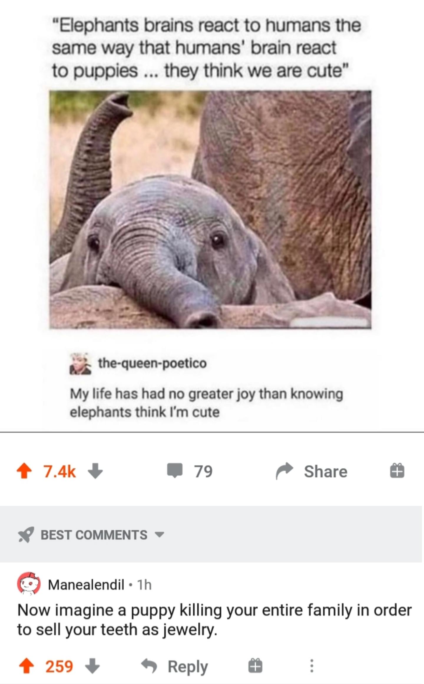 someone posted a picture of a baby elephant with a caption of the caption