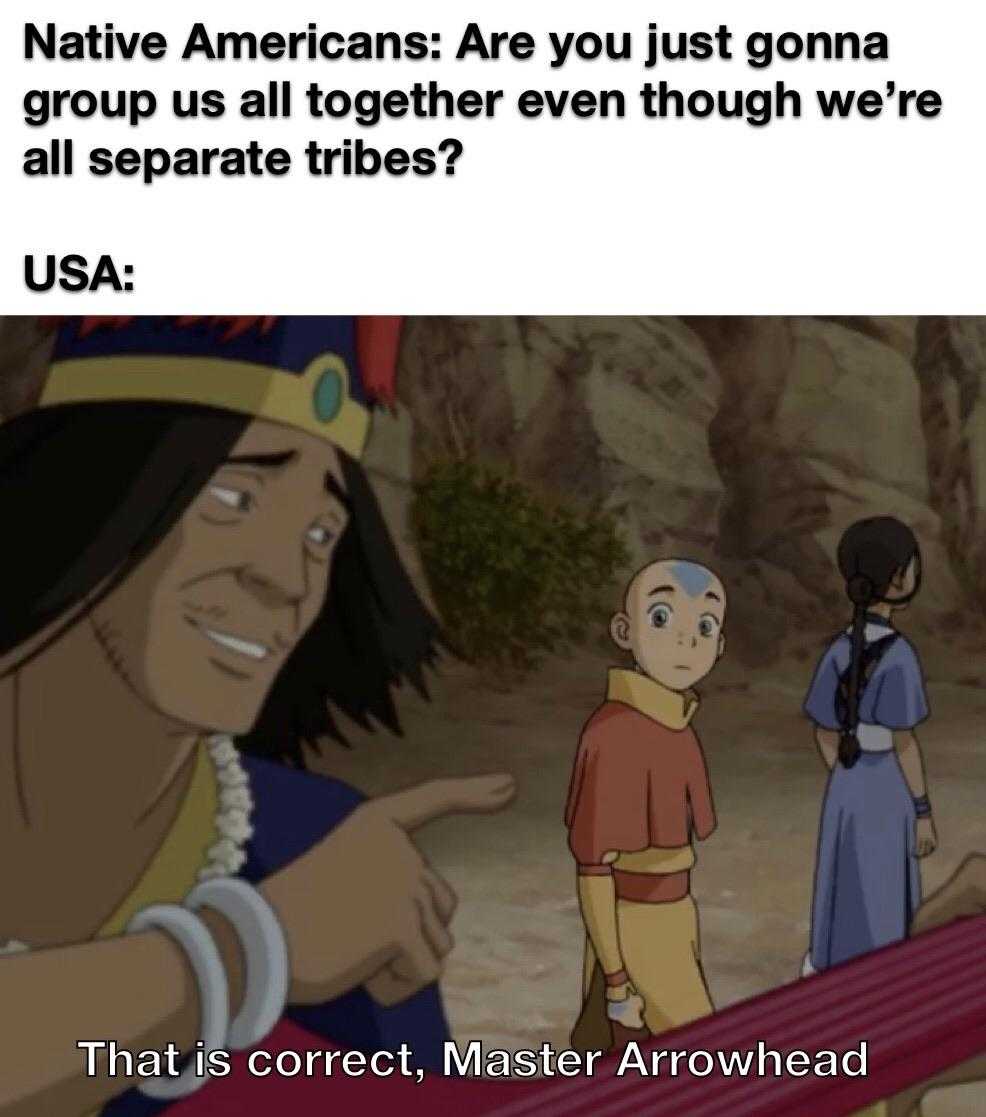 cartoon of native americans are you just gonna to group all together even though we ' ve all separate tribes?