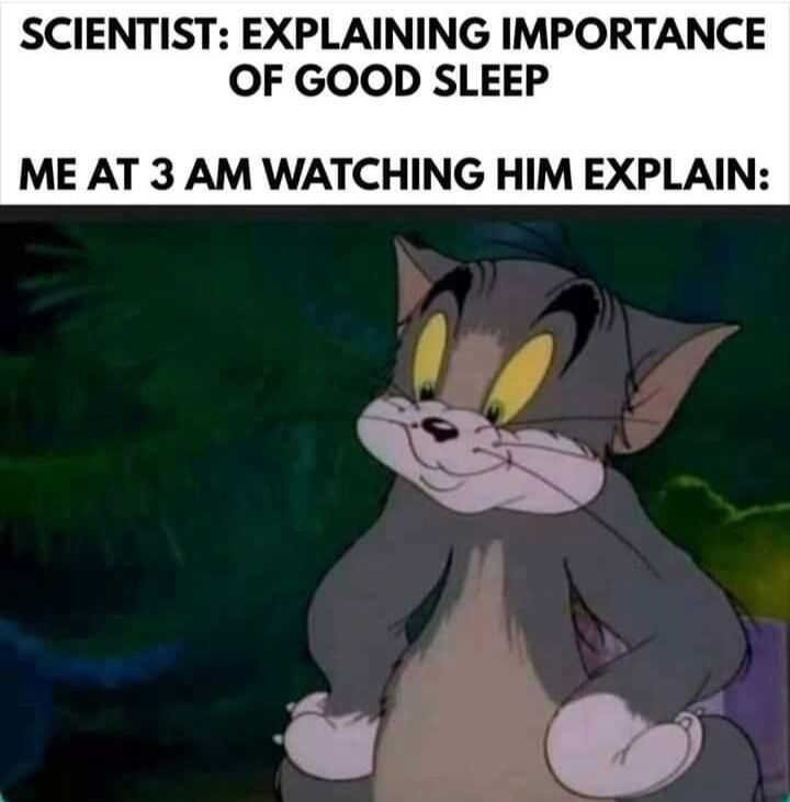 a cartoon cat sitting on the ground with a caption saying, scientist explaining importance of good sleep me at