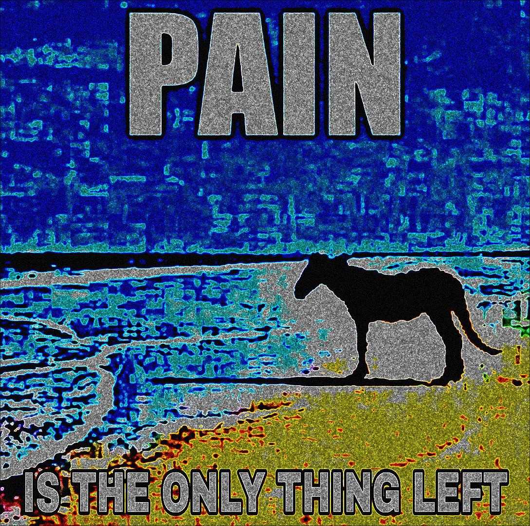 painting of a horse standing on a beach with the words pain