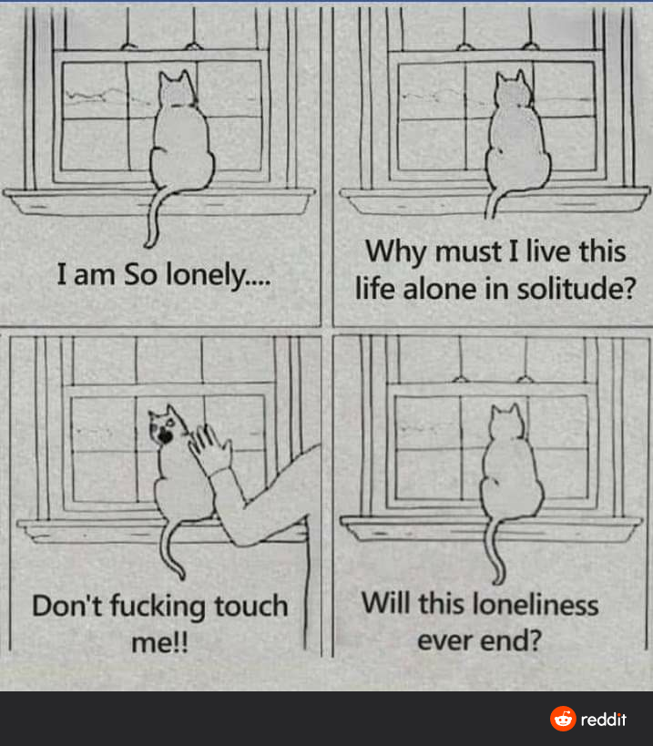 a cartoon of a cat sitting on a window sill with a caption of a cat saying, ' i am so lonely, life alone in solitude? '