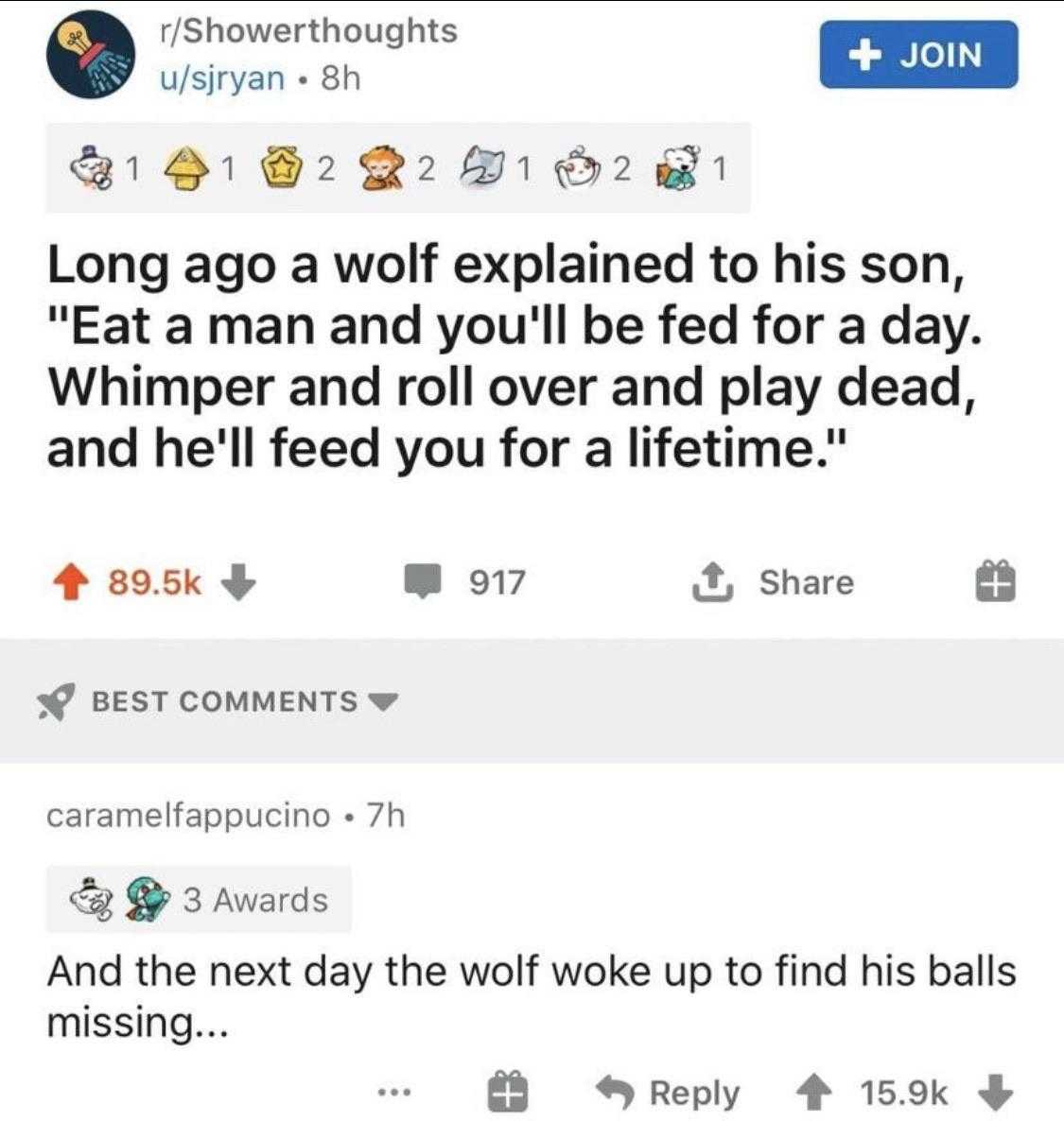 a screenshot of a tweet with a joke about a wolf