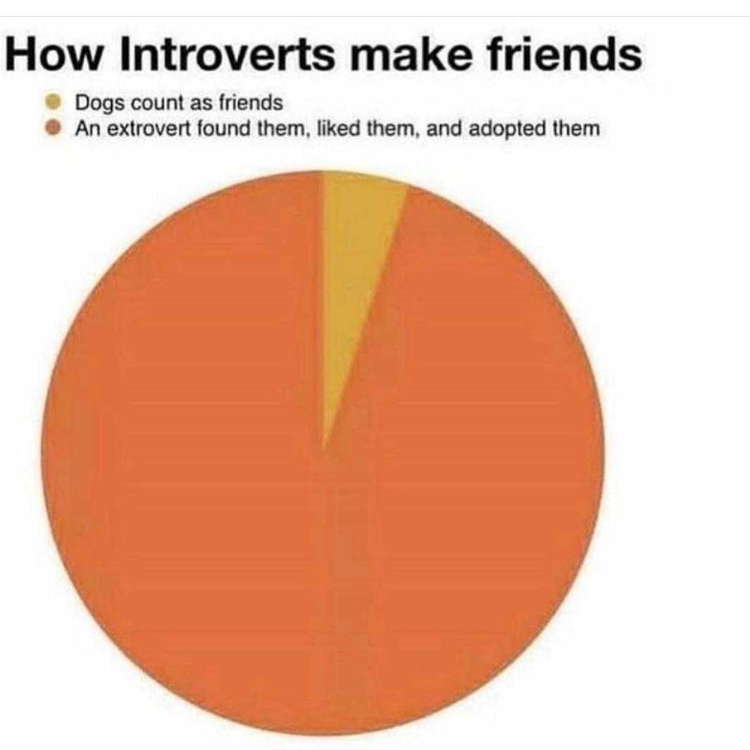 pie chart of how introverts make friends