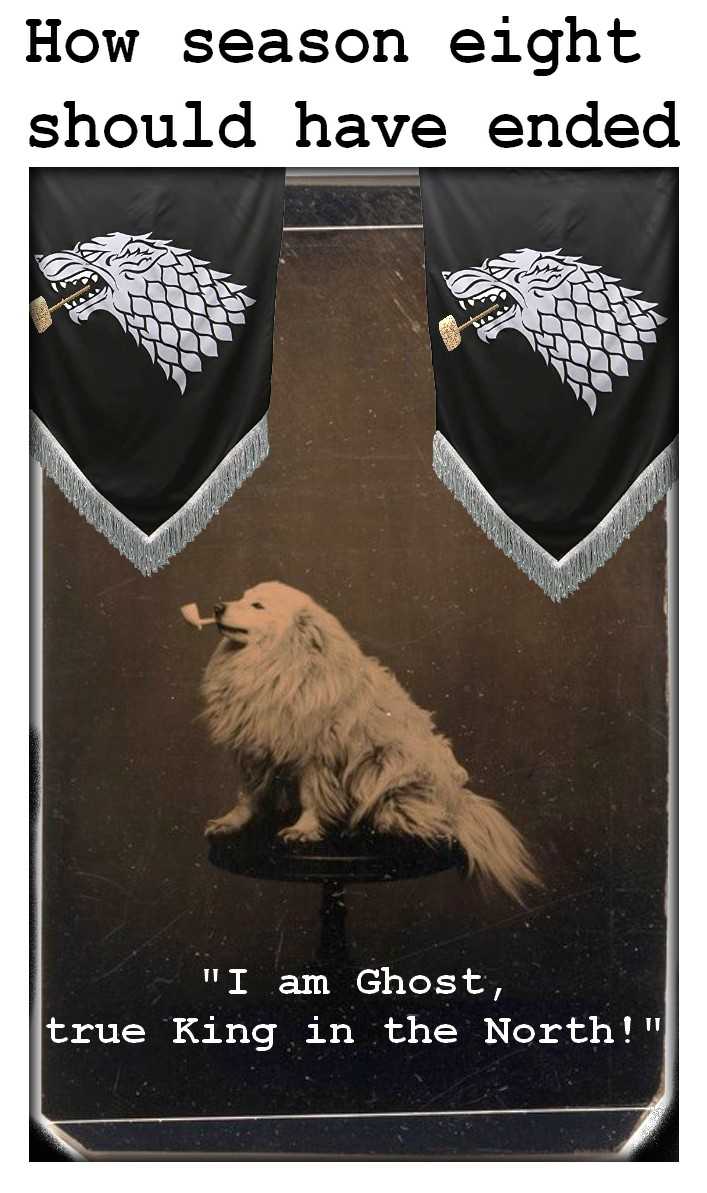 there is a dog sitting on a chair with a banner in the background