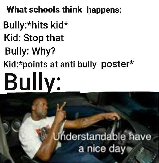 image of a man driving a car with a caption that reads, what school think happens bully hits kitt kid stop that bully why?