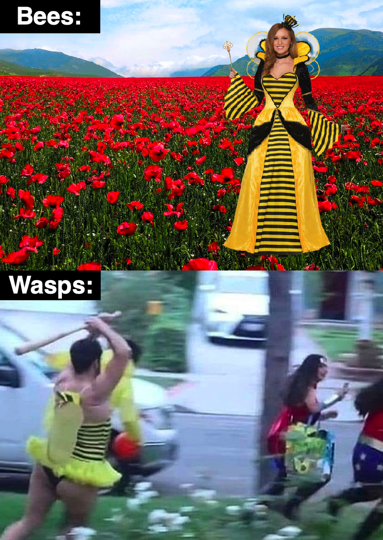 there are two pictures of a woman in a bee costume