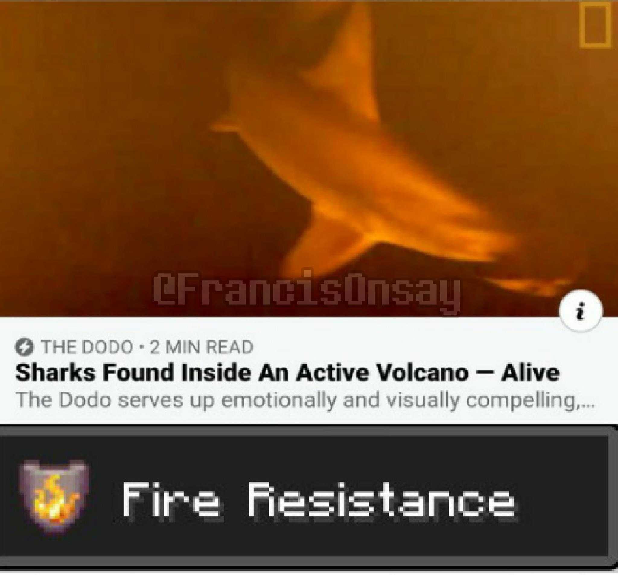 a close up of a shark in a tank with a fire in the background