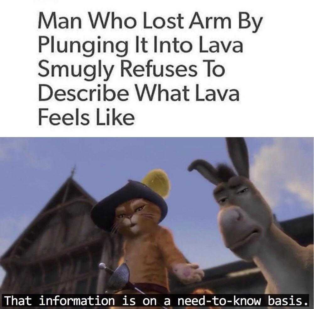 a cartoon picture of a donkey and a cat with caption that reads, man who lost arm by plugging it into lava