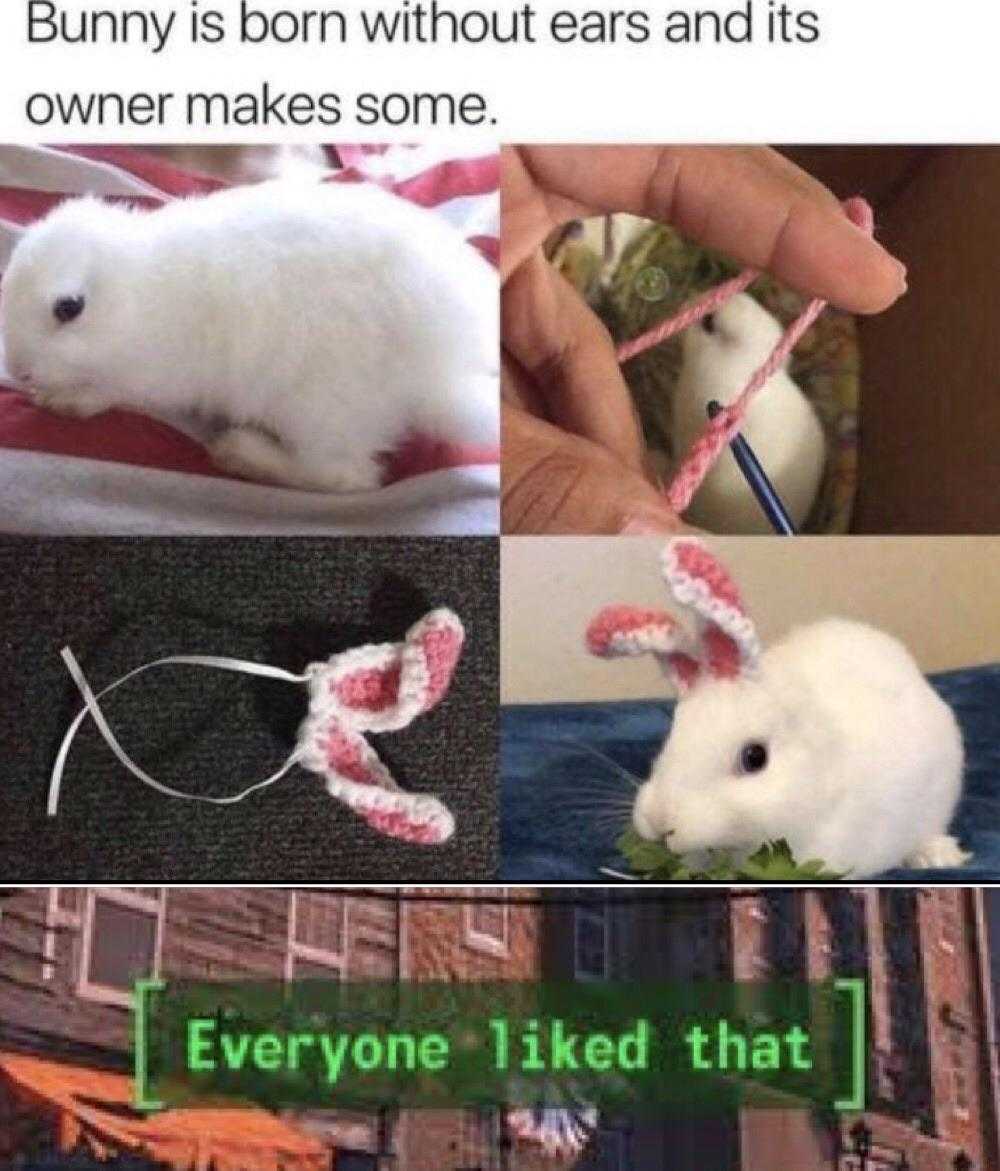 a close up of a person holding a white rabbit in a basket