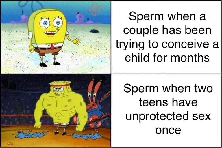 a cartoon image of a sponge patty with a caption saying, ' sperm when a couple has been trying