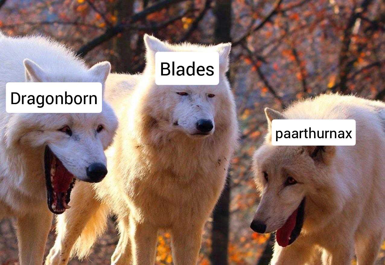 three white wolfs with different expressions on their faces