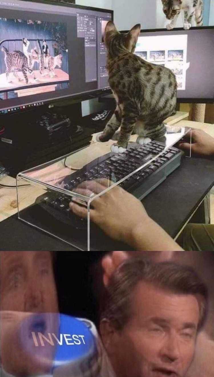 there are two pictures of a man and a cat on a computer