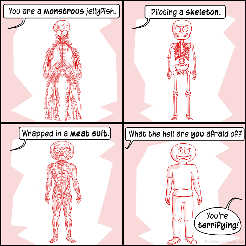 cartoon of a comic strip about a skeleton and a skeleton