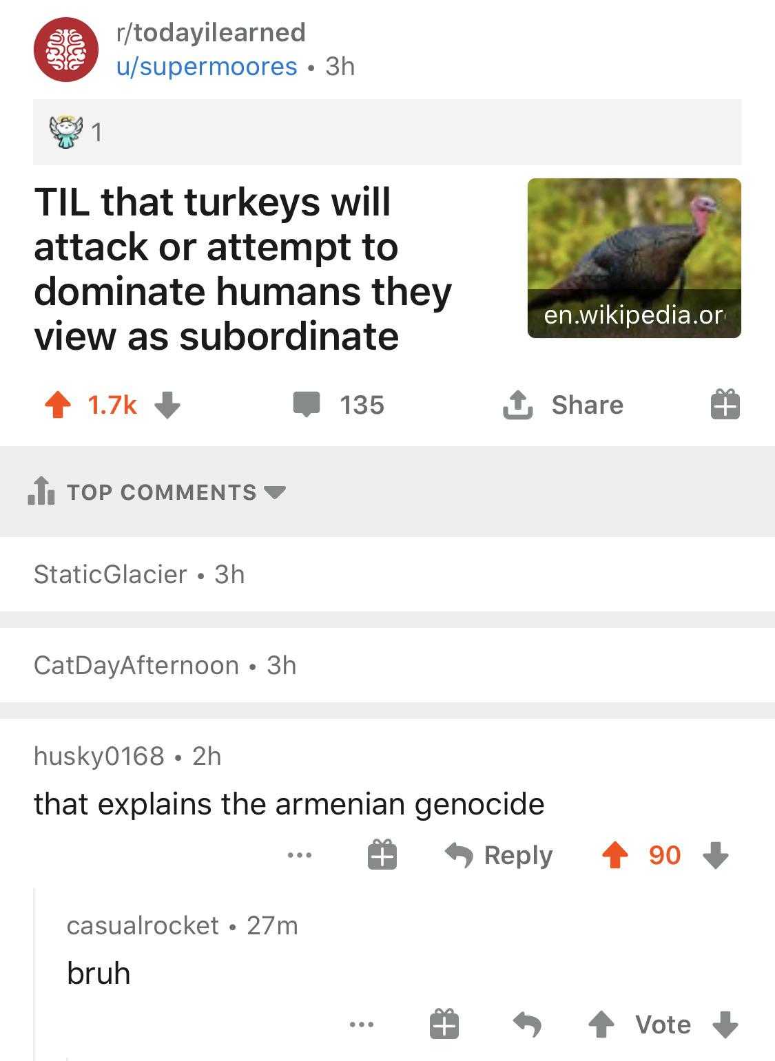 a screenshot of a twitter post with a turkey on it