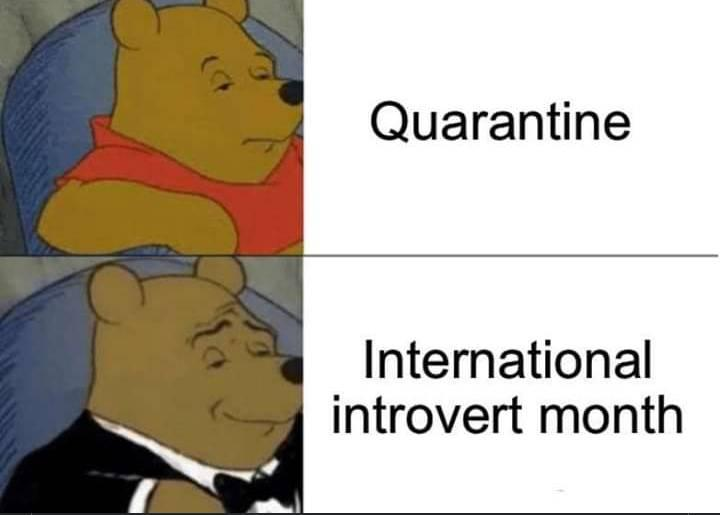 a cartoon picture of a bear in a tuxedo with the capt quarantine international introvert month