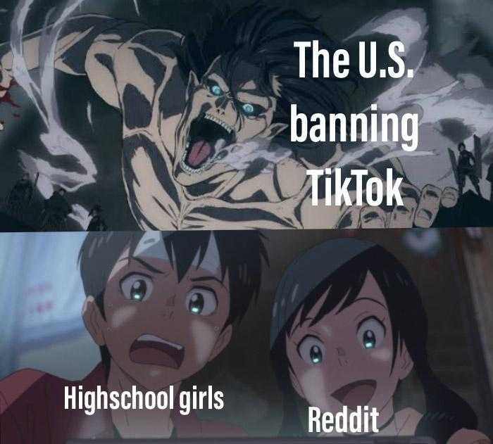 anime memes the u s banning tiktok highschool girls reddit