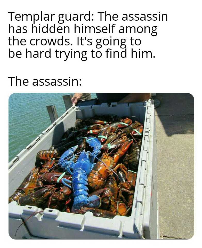 there is a man holding a box full of lobsters on the water