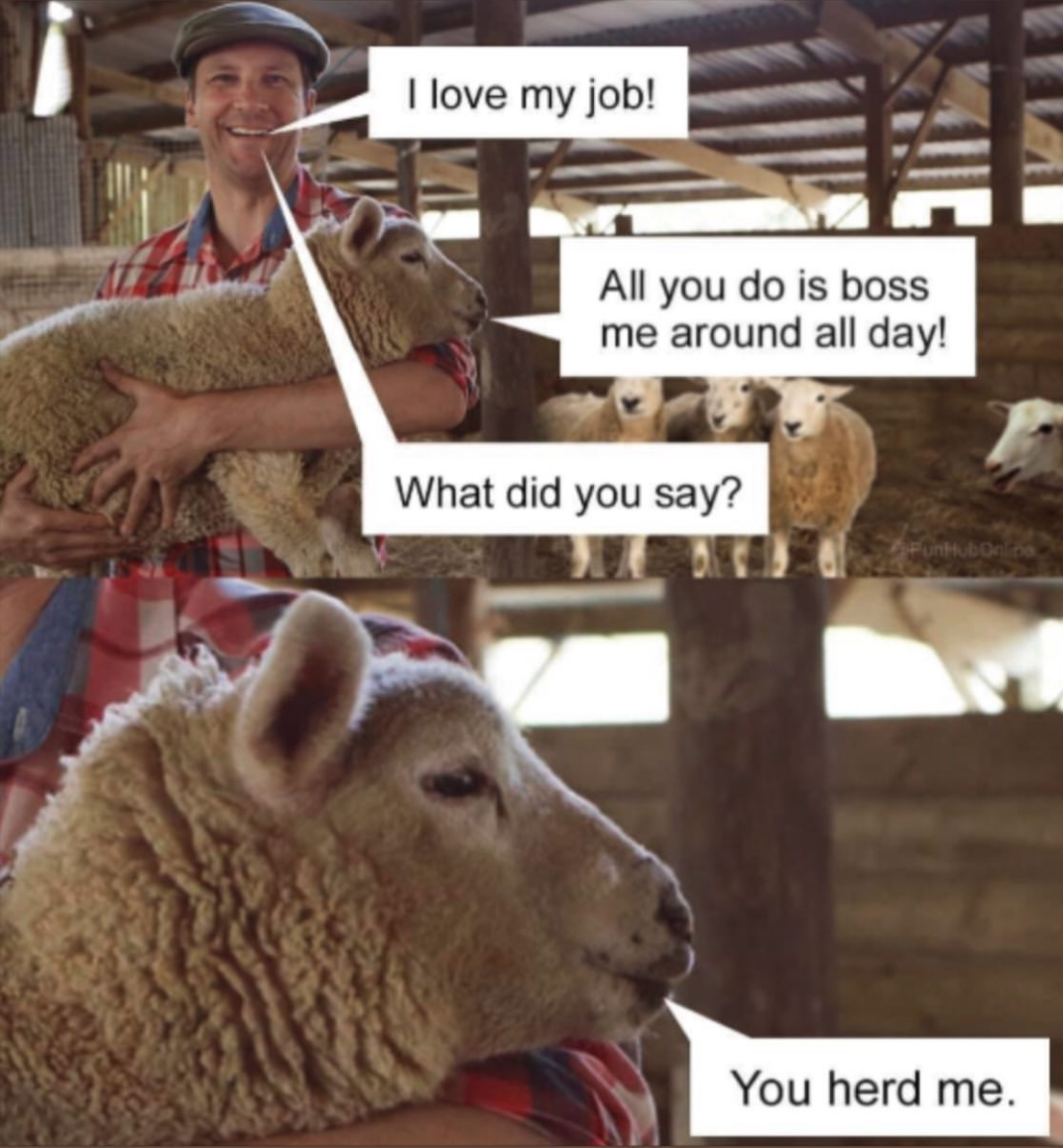 there is a man holding a sheep in his arms