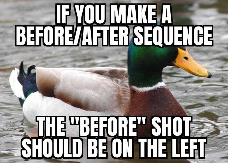 duck in the water with caption saying if you make a before / after sequence the before shot should be on the left