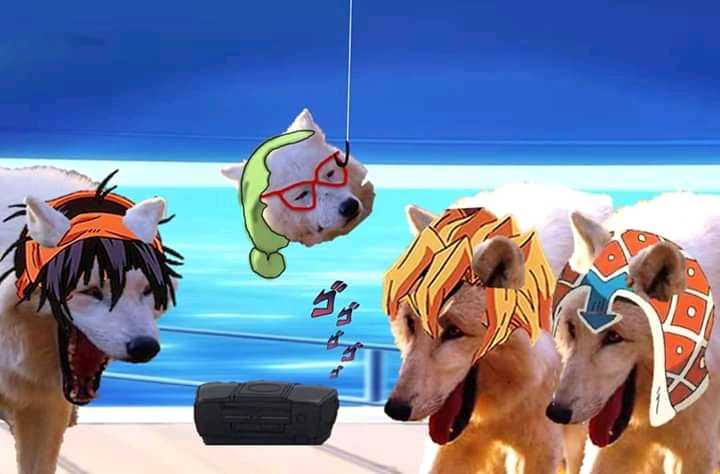 dogs wearing hats and scarves on a boat with a view of the ocean