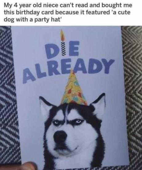 a close up of a dog wearing a birthday hat with a birthday card