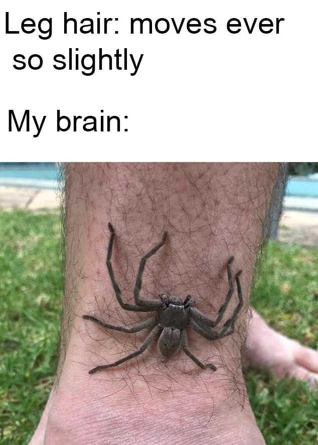 a close up of a person holding a spider on their arm