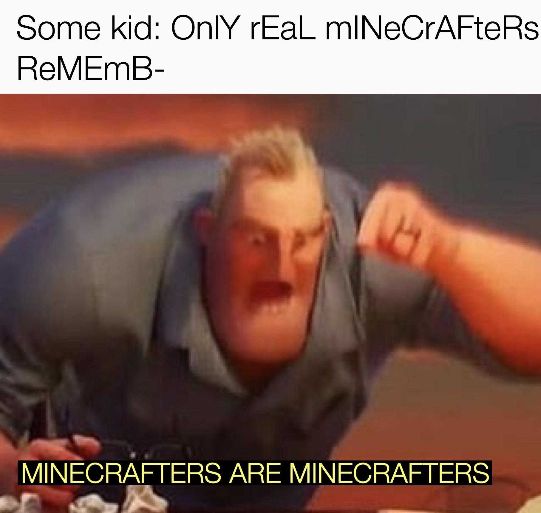 someone kid only real minecrafters remember minecrafters are minecrafters