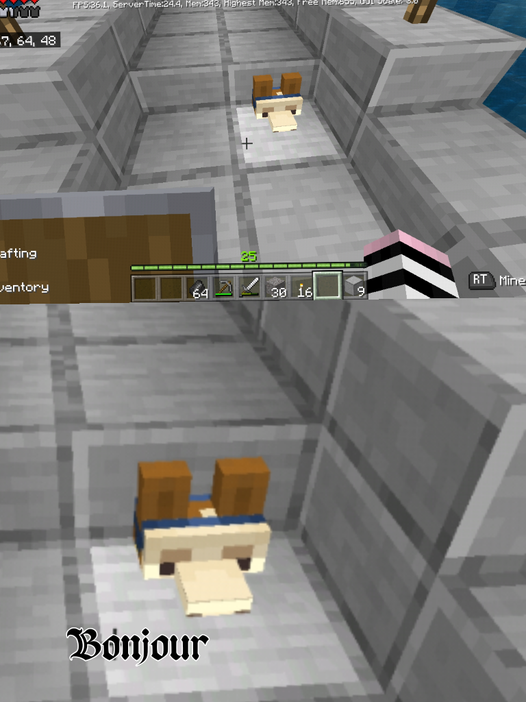 there is a picture of a small room in a minecraft game