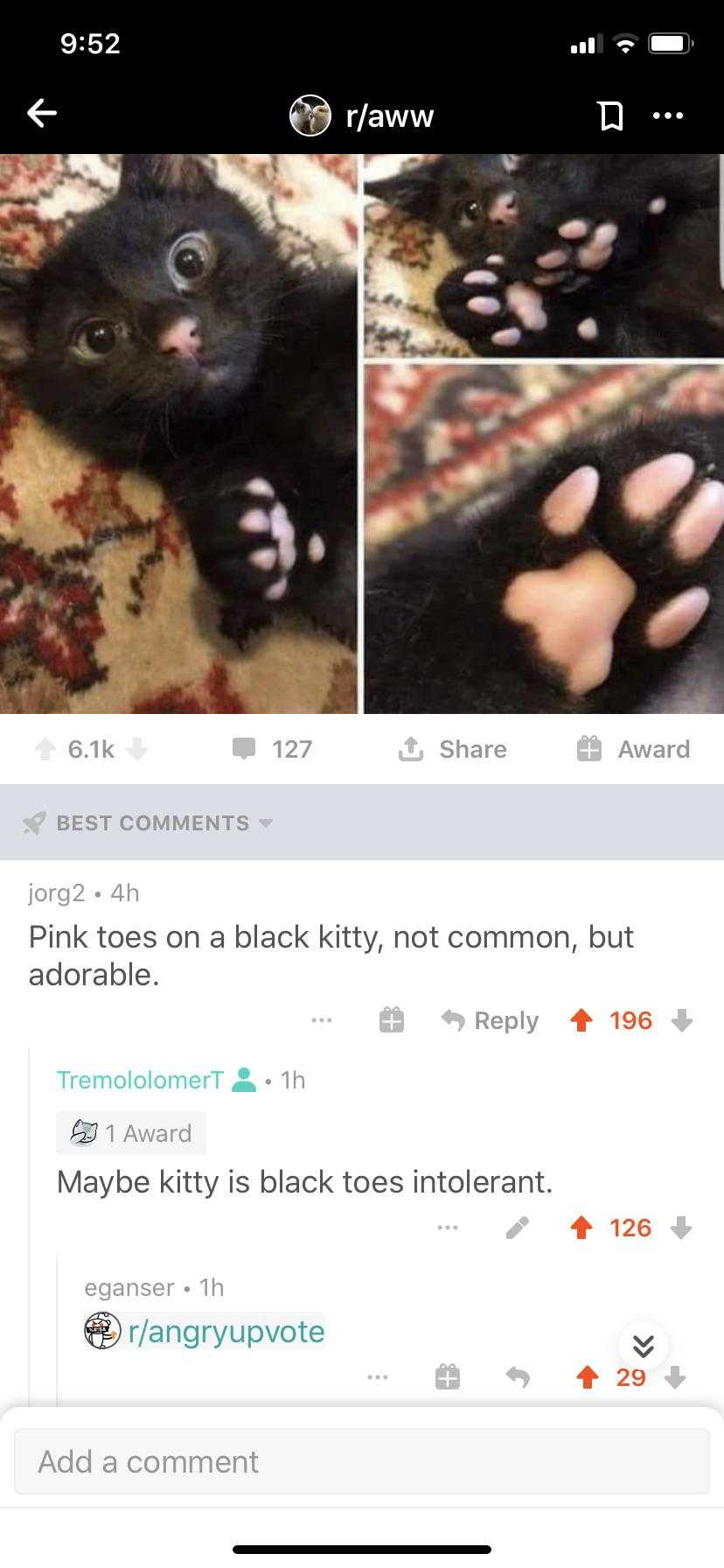 there is a black kitten laying on a couch with its paws on the floor