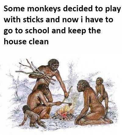 some monkeys decided to play with sticks and now i have to go to school and keep the house clean