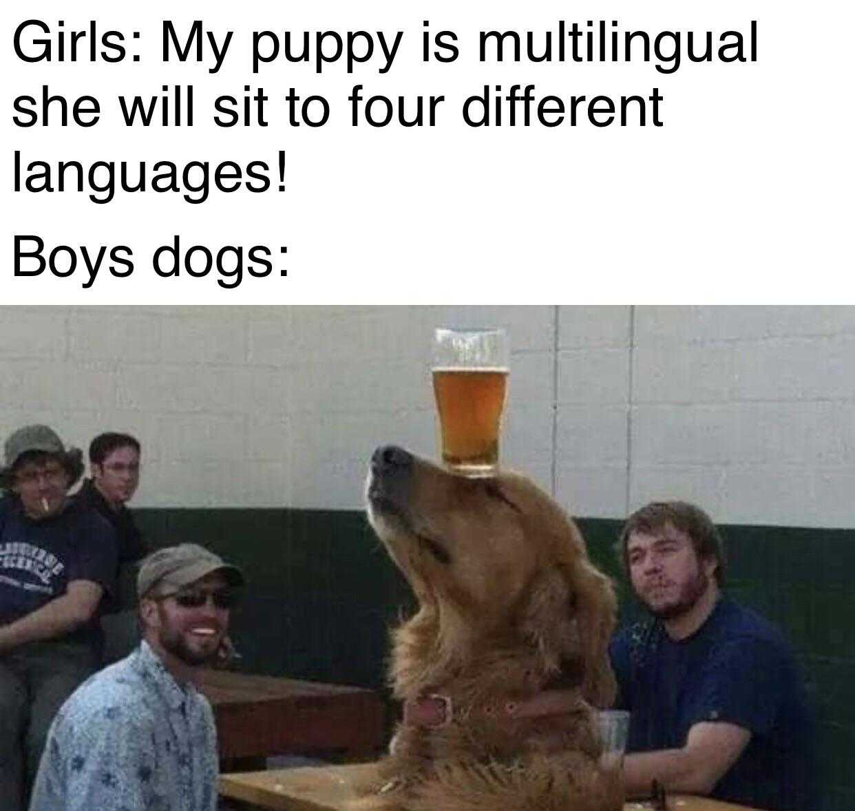 araffy dog sitting on a table with a beer glass on its head