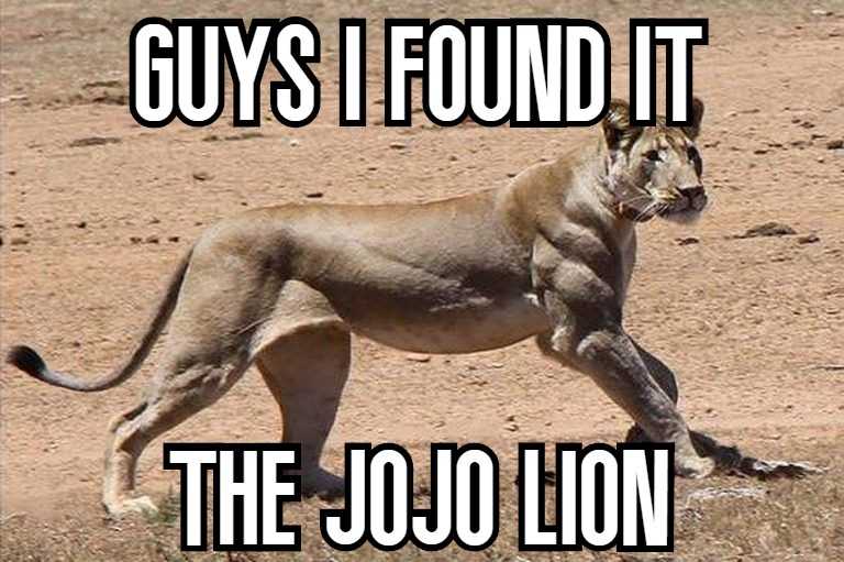 araffe running in the dirt with a caption saying guys i found it the jou lion