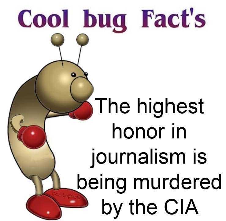 a cartoon bug with a red nose and a red nose