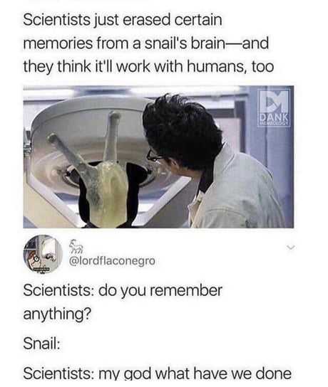 arafaceno scientist, do you remember anything?