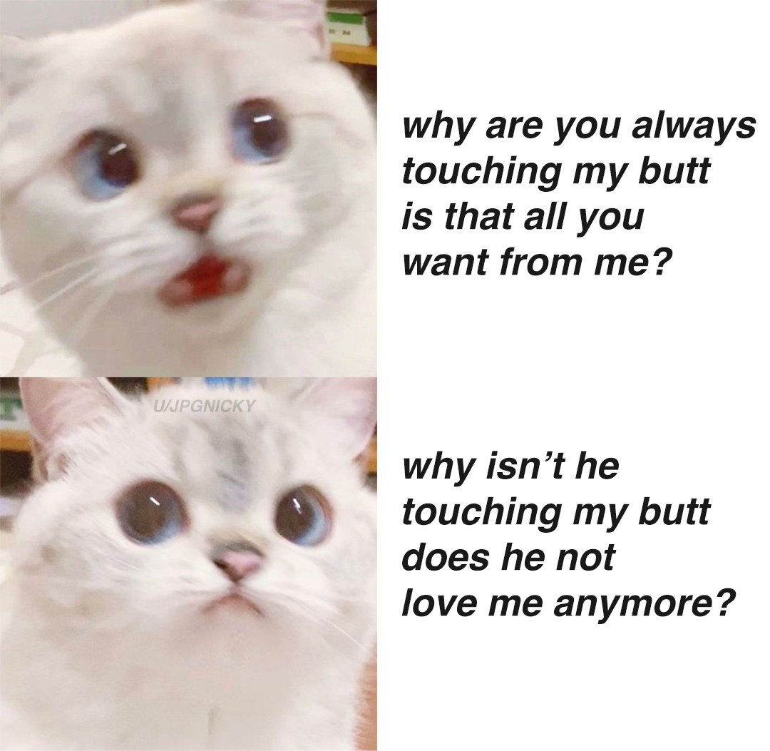 there are two pictures of a cat with blue eyes and a caption that says, why are you always touching my butt is that all you want from me?