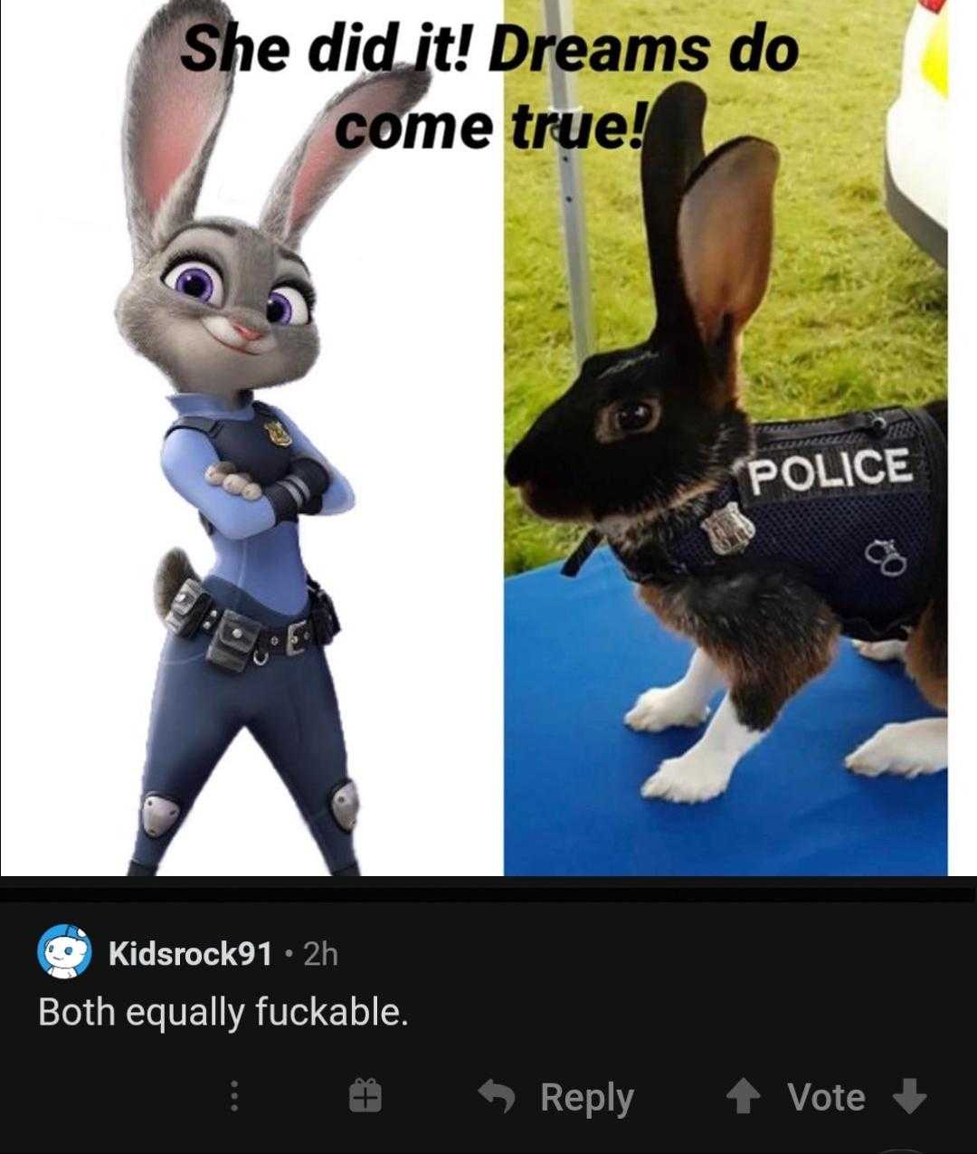 a close up of a rabbit wearing a police uniform next to a picture of a rabbit