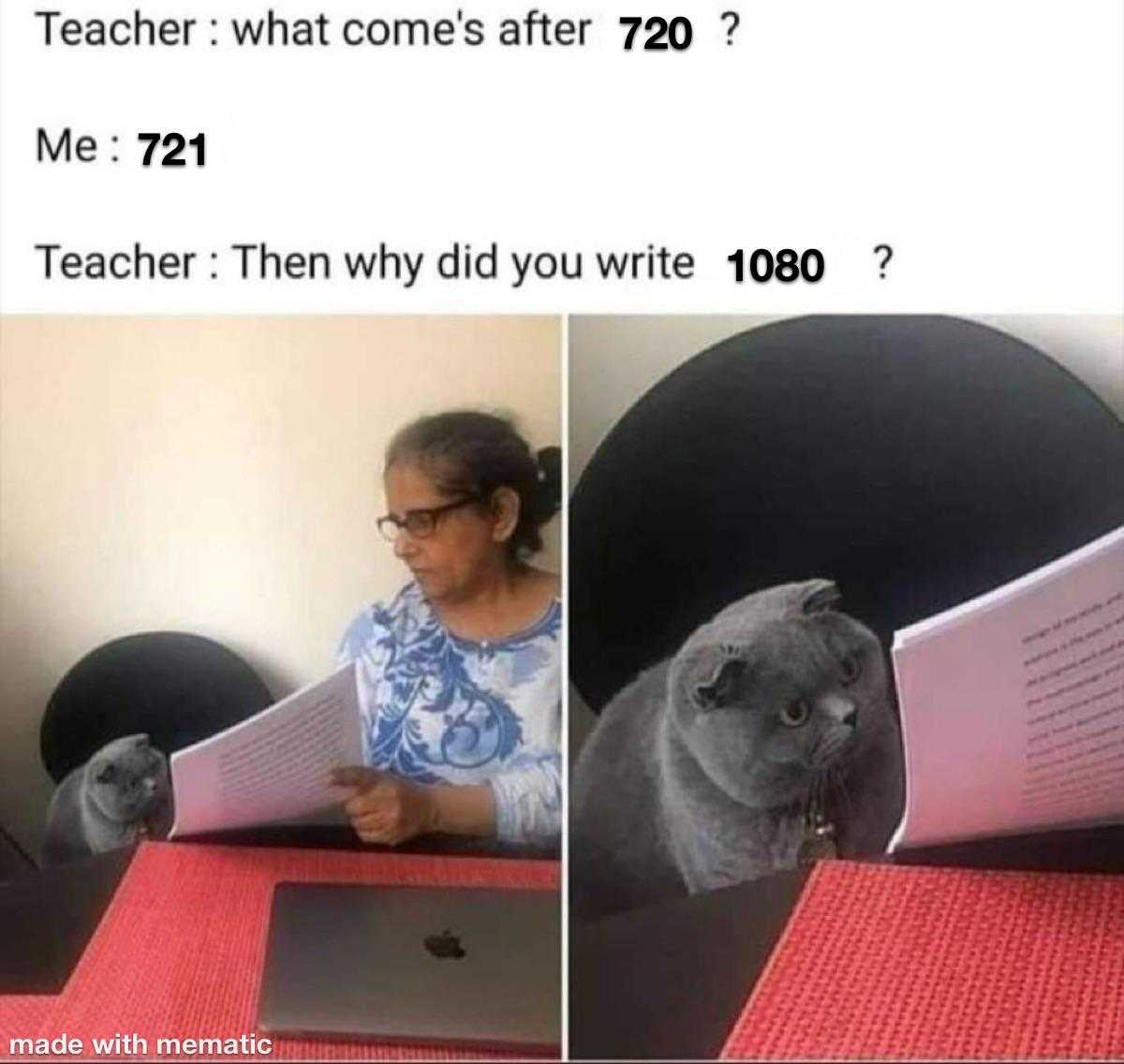 cat sitting at a desk with a book and a woman reading a book