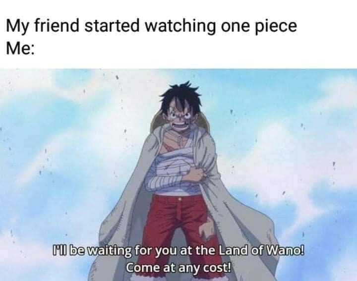 anime, memes, and my friend started watching one piece me i ' ll be waiting for you at the land of wa and come at any cost