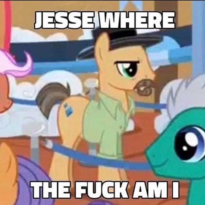 a close up of a cartoon pony with a caption of a horse